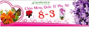 quà tặng 8/3 tại dĩ an bình dương