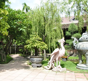 Liễu trồng làm cảnh quan sân vườn